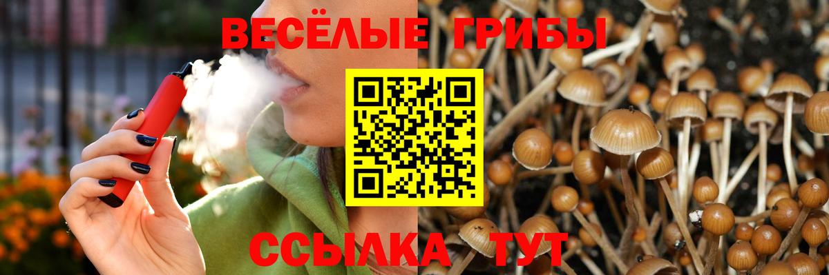 Галлюциногенные грибы мухоморы Нижнеудинск
